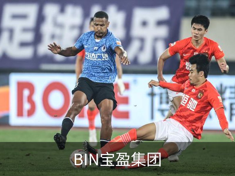 BIN宝盈集团介绍