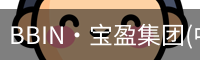 BIN宝盈集团